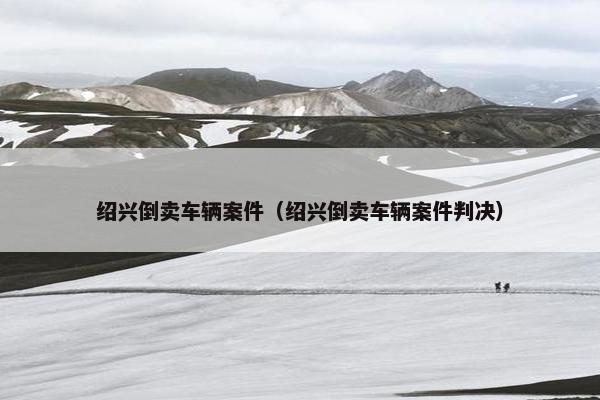 绍兴倒卖车辆案件（绍兴倒卖车辆案件判决）