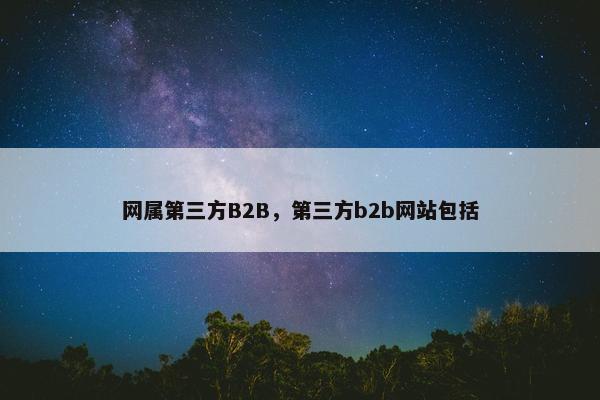 网属第三方B2B，第三方b2b网站包括