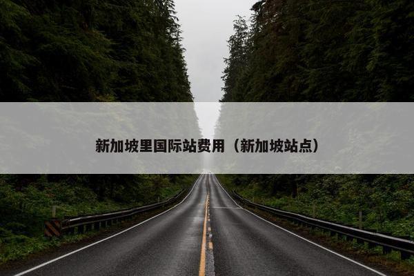 新加坡里国际站费用（新加坡站点）