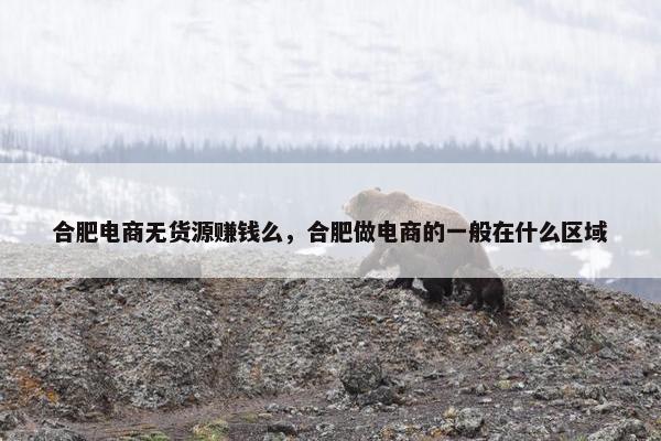 合肥电商无货源赚钱么，合肥做电商的一般在什么区域