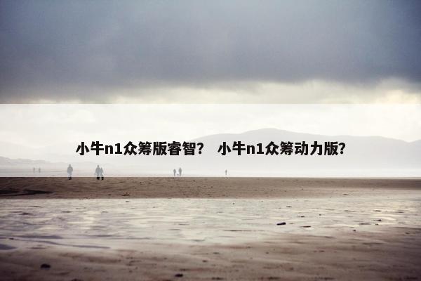 小牛n1众筹版睿智？ 小牛n1众筹动力版？