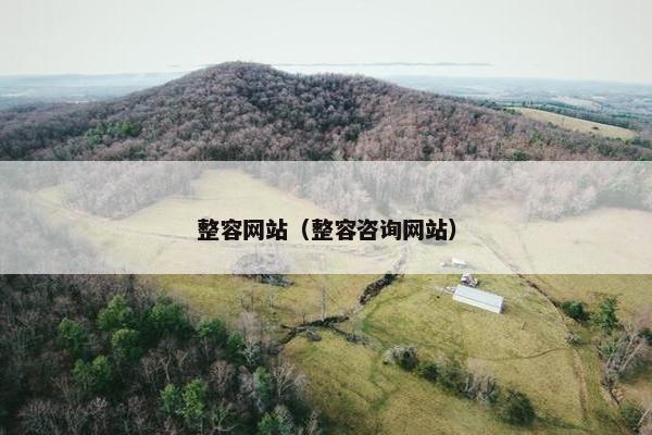整容网站（整容咨询网站）