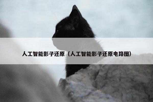 人工智能影子还原（人工智能影子还原电路图）
