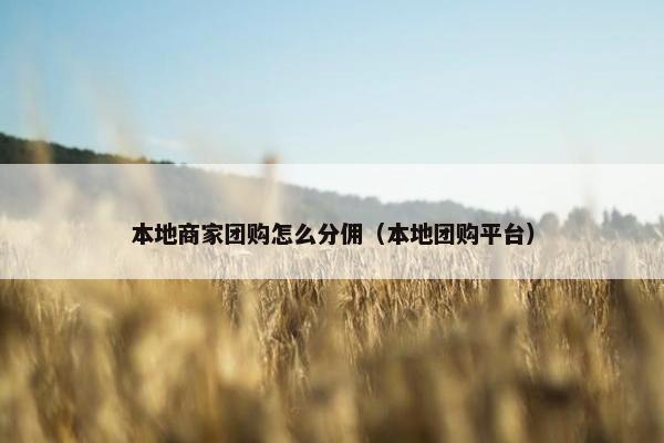 本地商家团购怎么分佣（本地团购平台）