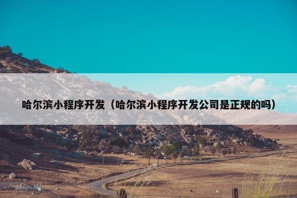哈尔滨小程序开发（哈尔滨小程序开发公司是正规的吗）