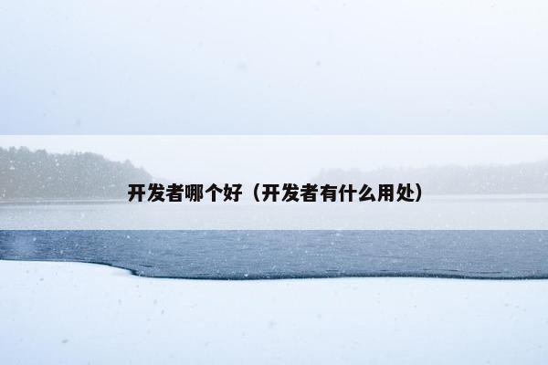 开发者哪个好（开发者有什么用处）