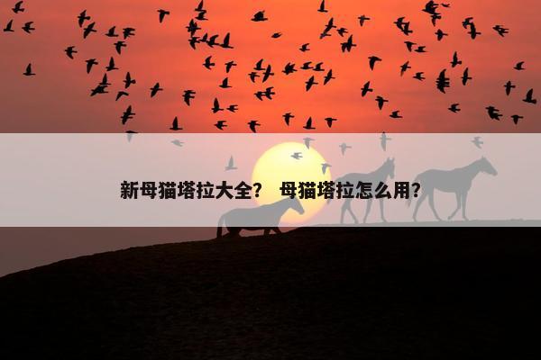 新母猫塔拉大全？ 母猫塔拉怎么用？