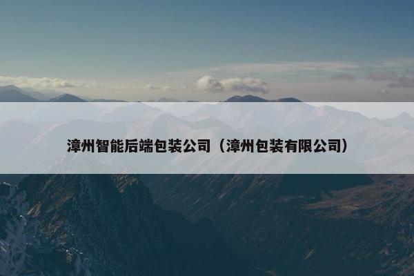 漳州智能后端包装公司（漳州包装有限公司）