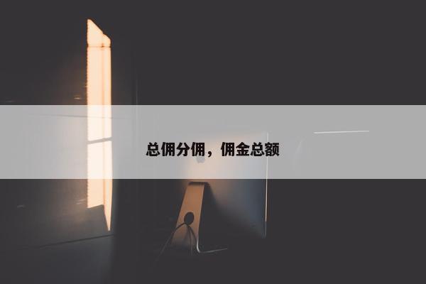 总佣分佣，佣金总额