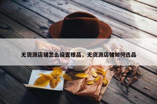 无货源店铺怎么设置赠品，无货源店铺如何选品