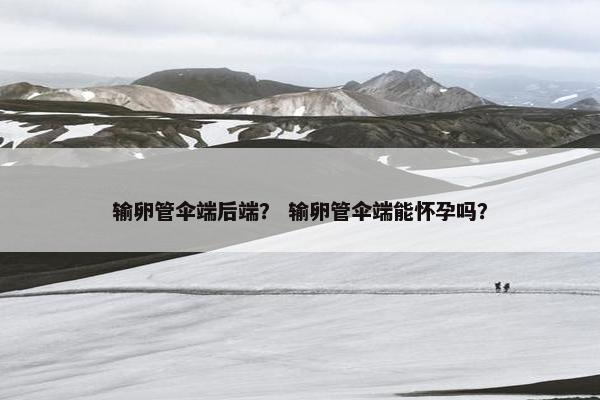 输卵管伞端后端？ 输卵管伞端能怀孕吗？