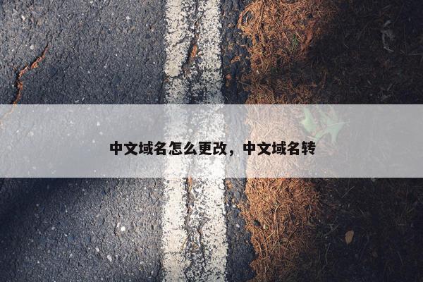 中文域名怎么更改，中文域名转