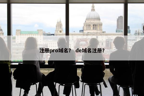 注册pro域名？ de域名注册？