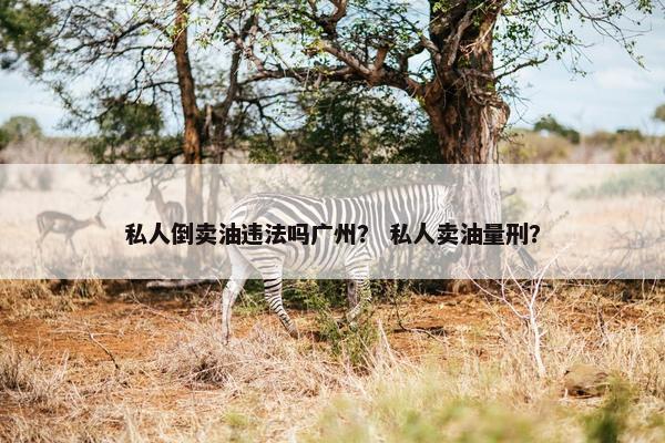 私人倒卖油违法吗广州？ 私人卖油量刑？
