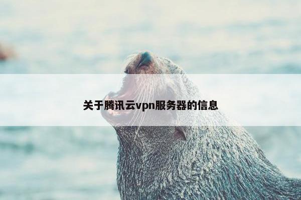 关于腾讯云vpn服务器的信息