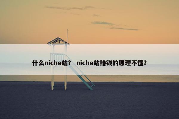 什么niche站？ niche站赚钱的原理不懂？