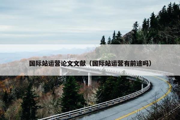 国际站运营论文文献（国际站运营有前途吗）