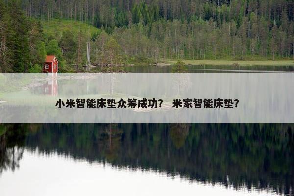 小米智能床垫众筹成功？ 米家智能床垫？