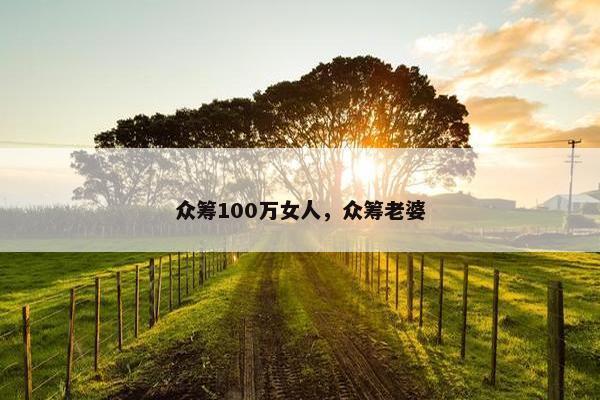 众筹100万女人，众筹老婆
