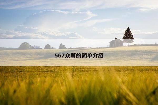 567众筹的简单介绍
