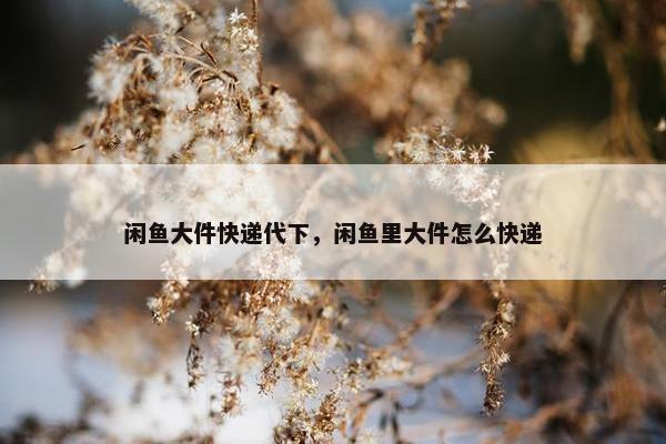 闲鱼大件快递代下，闲鱼里大件怎么快递