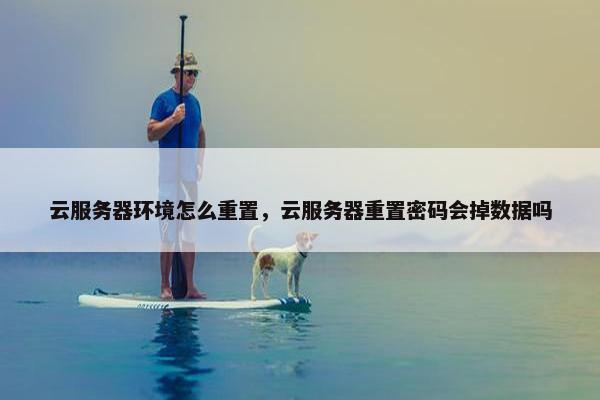 云服务器环境怎么重置，云服务器重置密码会掉数据吗
