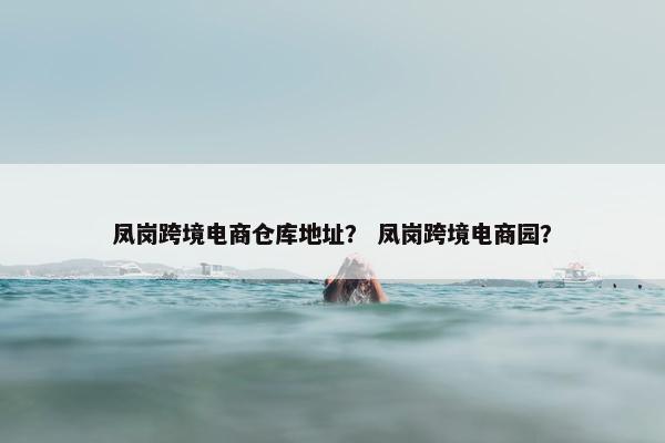 凤岗跨境电商仓库地址？ 凤岗跨境电商园？