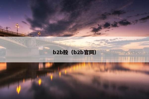 b2b股（b2b官网）