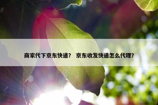 商家代下京东快递？ 京东收发快递怎么代理？