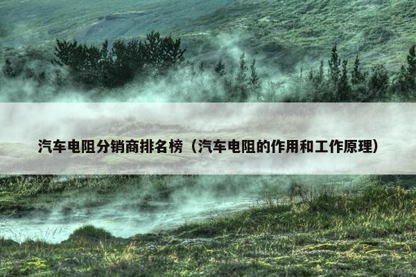 汽车电阻分销商排名榜（汽车电阻的作用和工作原理）