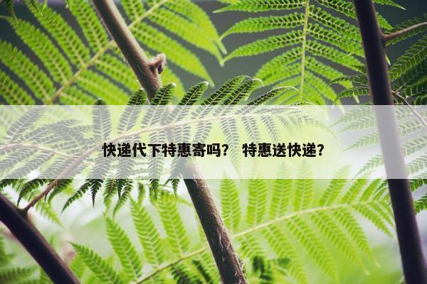 快递代下特惠寄吗？ 特惠送快递？
