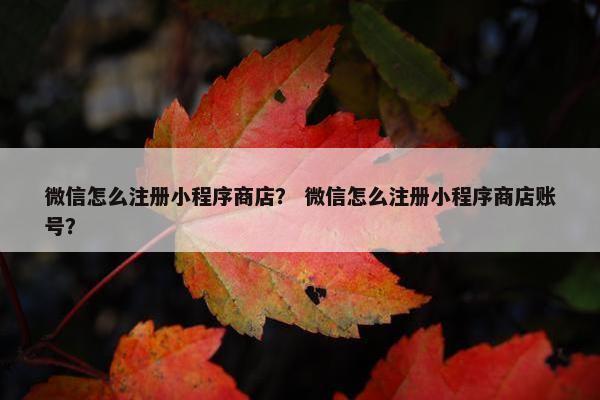 微信怎么注册小程序商店？ 微信怎么注册小程序商店账号？