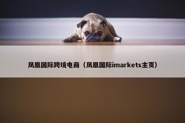 凤凰国际跨境电商（凤凰国际imarkets主页）