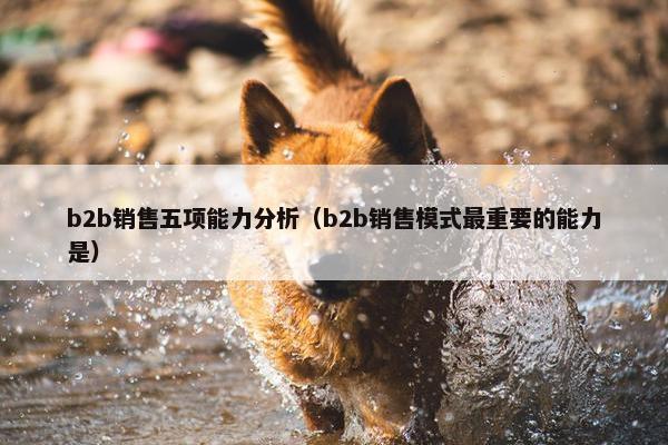 b2b销售五项能力分析（b2b销售模式最重要的能力是）