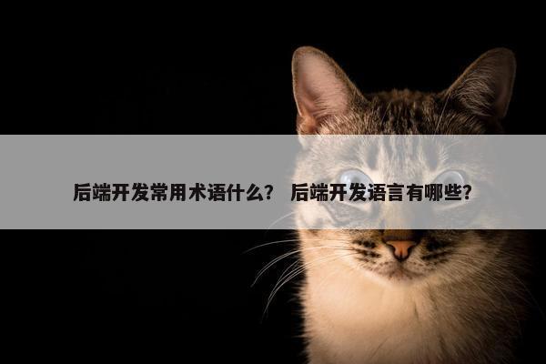 后端开发常用术语什么？ 后端开发语言有哪些？