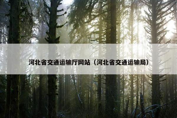河北省交通运输厅网站（河北省交通运输局）