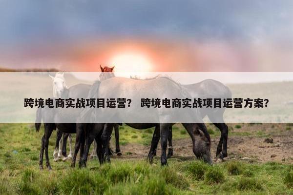 跨境电商实战项目运营？ 跨境电商实战项目运营方案？