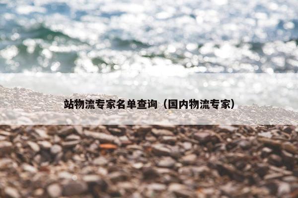 站物流专家名单查询（国内物流专家）