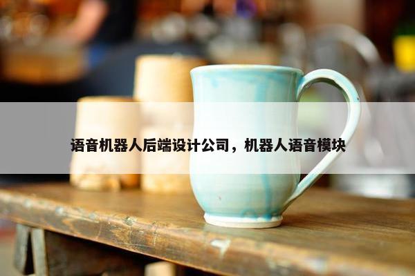 语音机器人后端设计公司，机器人语音模块