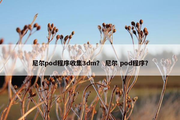 尼尔pod程序收集3dm？ 尼尔 pod程序？