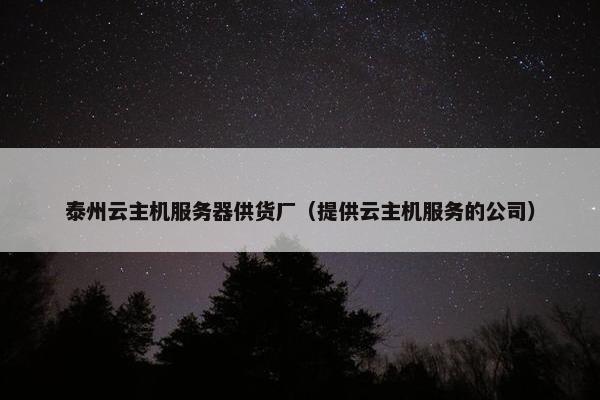 泰州云主机服务器供货厂（提供云主机服务的公司）