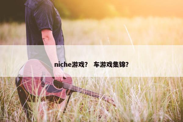 niche游戏？ 车游戏集锦？