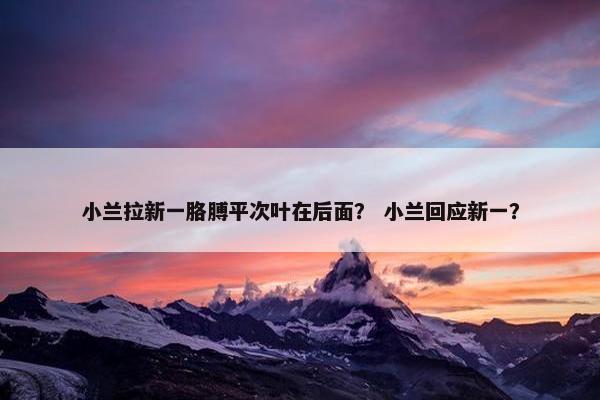 小兰拉新一胳膊平次叶在后面？ 小兰回应新一？