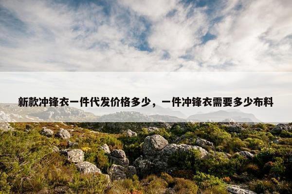 新款冲锋衣一件代发价格多少，一件冲锋衣需要多少布料