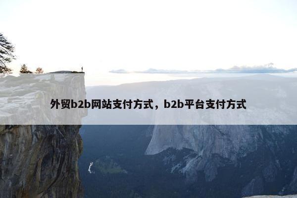 外贸b2b网站支付方式，b2b平台支付方式