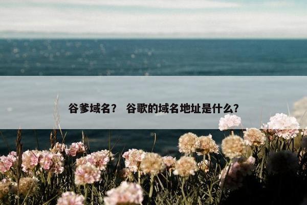 谷爹域名？ 谷歌的域名地址是什么？