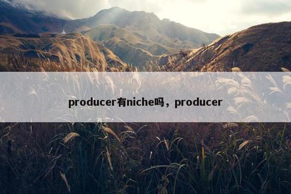 producer有niche吗，producer