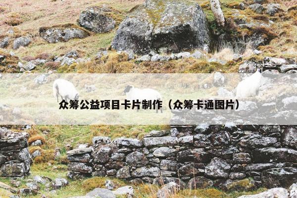 众筹公益项目卡片制作（众筹卡通图片）