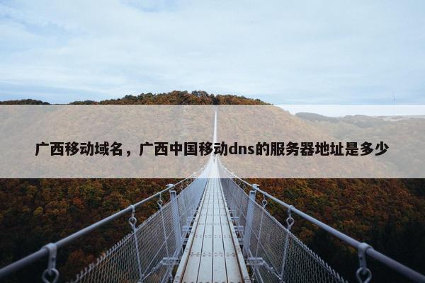 广西移动域名，广西中国移动dns的服务器地址是多少