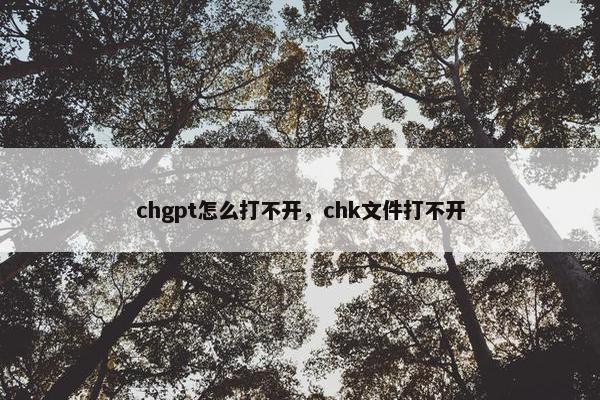 chgpt怎么打不开，chk文件打不开